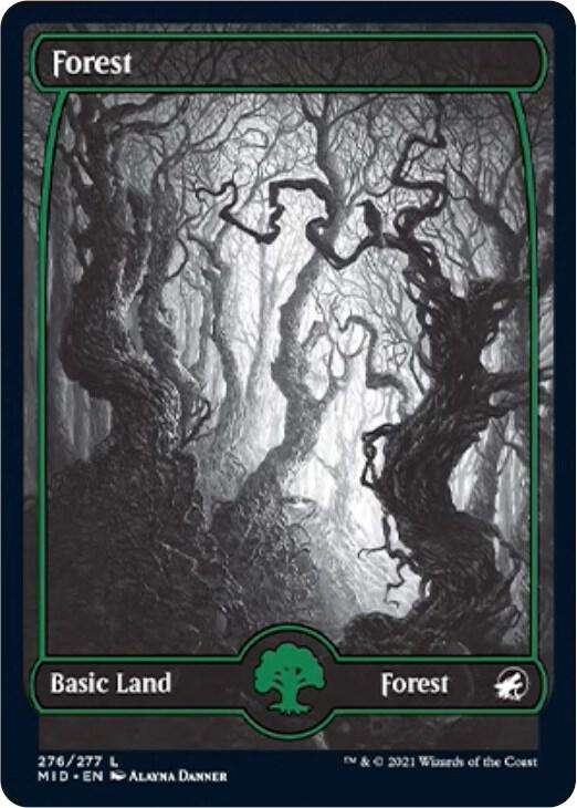 Forest 276 276 (Innistrad: Midnight Hunt)  | Good Games Adelaide SA
