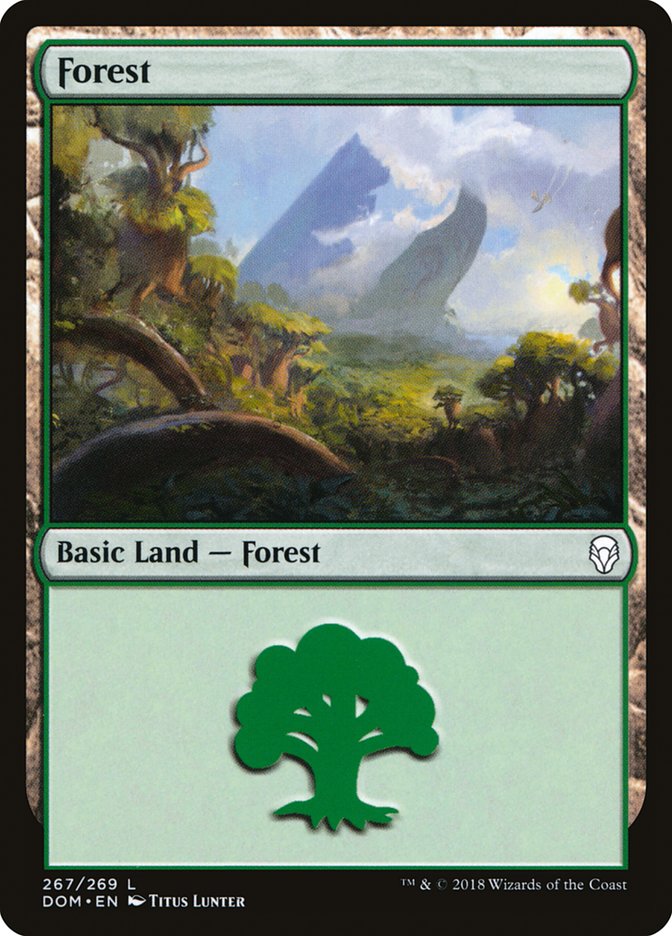 Forest (267) [Dominaria] | Good Games Adelaide SA