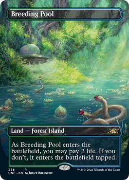 Breeding Pool Borderless 286 (Unfinity)  - Foil | Good Games Adelaide SA