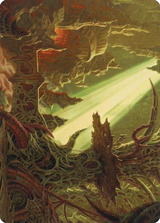 Darkmoss Bridge Art Card 72 (Art Series: Modern Horizons 2)  | Good Games Adelaide SA