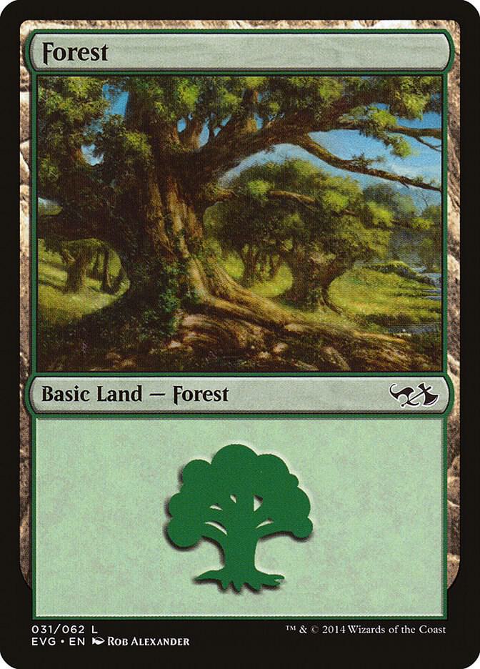 Forest 031 EVG 31 (Duel Decks: Anthology)  | Good Games Adelaide SA