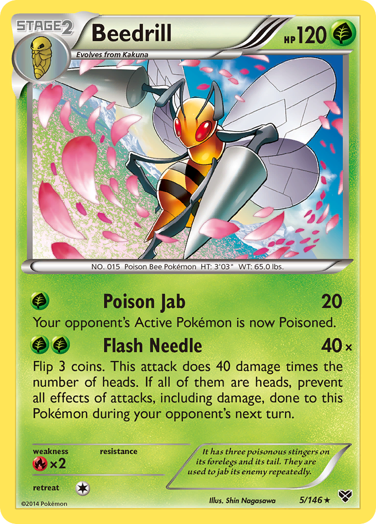 Beedrill (5/146) [XY: Base Set] | Good Games Adelaide SA