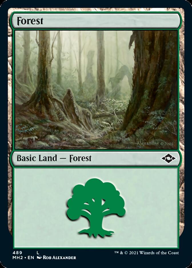 Forest (489) (Etched Foil) [Modern Horizons 2] | Good Games Adelaide SA