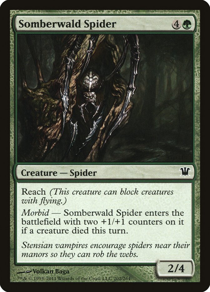 Somberwald Spider [Innistrad] | Good Games Adelaide SA
