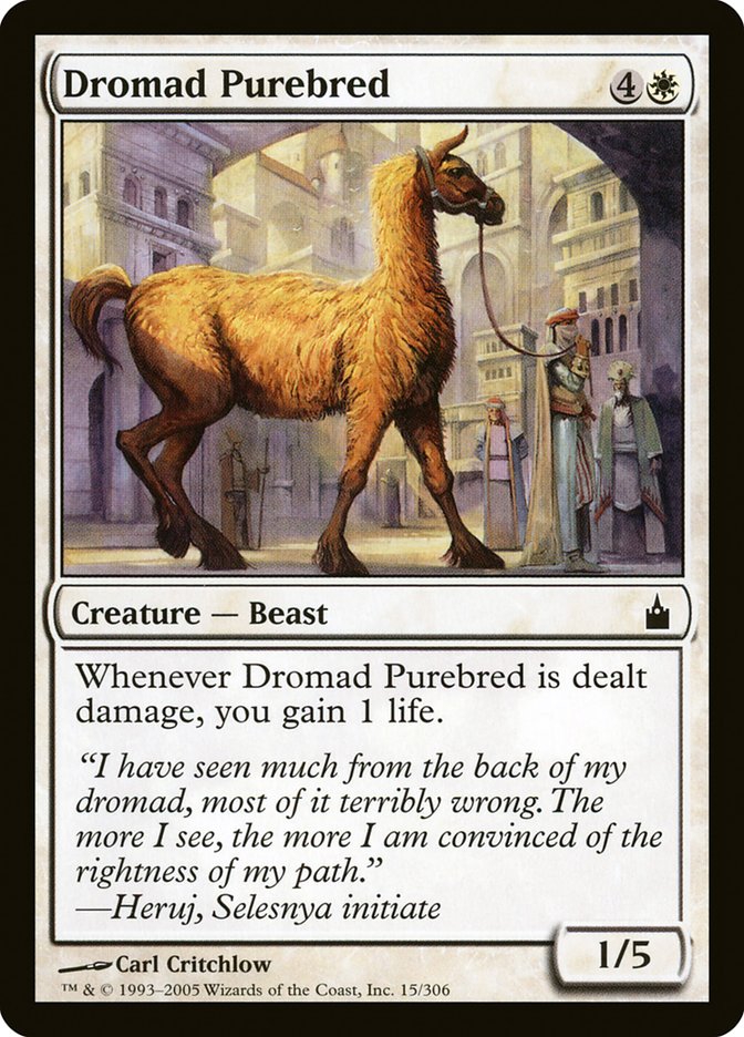Dromad Purebred 15 (Ravnica: City of Guilds)  - Foil | Good Games Adelaide SA