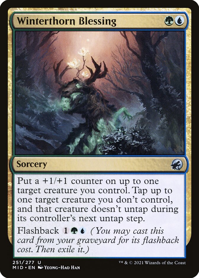 Winterthorn Blessing 251 (Innistrad: Midnight Hunt)  - Foil | Good Games Adelaide SA