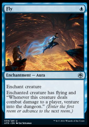 Fly [Dungeons & Dragons: Adventures in the Forgotten Realms] | Good Games Adelaide SA
