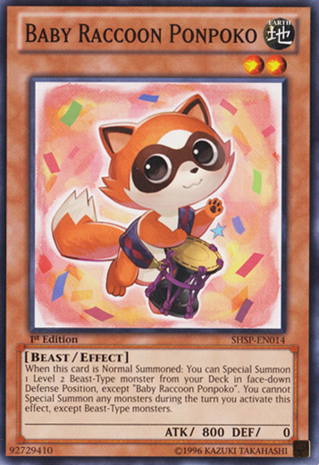 Baby Raccoon Ponpoko [SHSP-EN014] Common | Good Games Adelaide SA