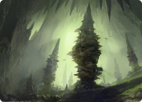 Forest (280) Art Card [Dungeons & Dragons: Adventures in the Forgotten Realms Art Series] | Good Games Adelaide SA