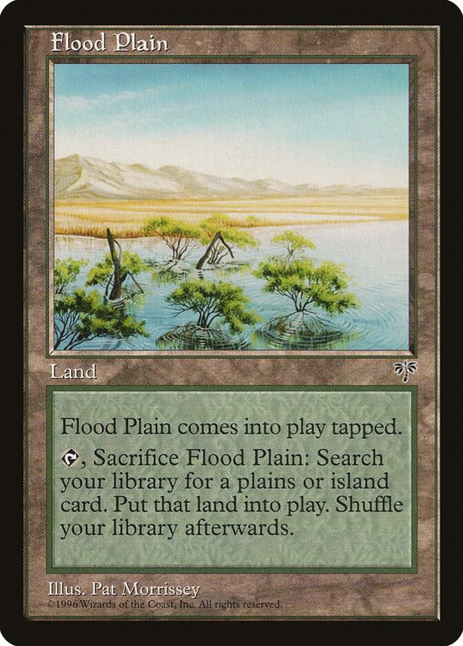 Flood Plain  (Mirage)  | Good Games Adelaide SA
