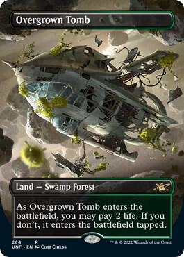 Overgrown Tomb Borderless 284 (Unfinity)  - Foil | Good Games Adelaide SA