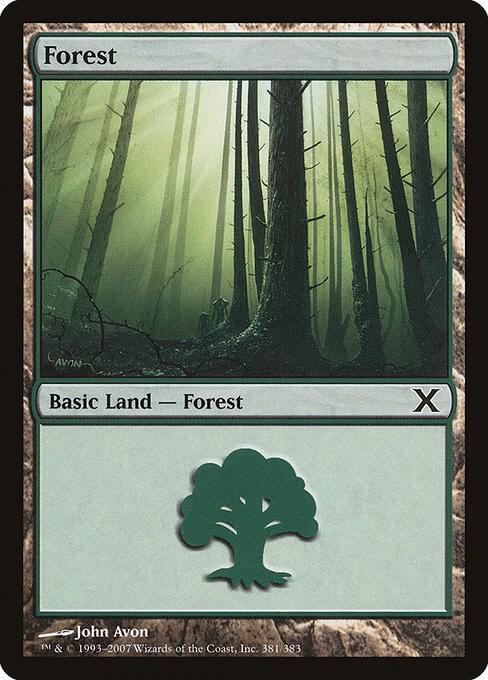 Forest 381 (10th Edition)  | Good Games Adelaide SA
