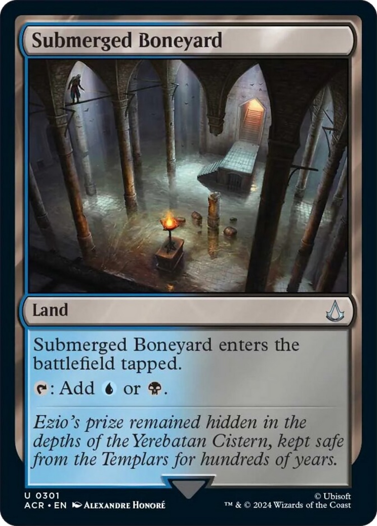 Submerged Boneyard [Assassin's Creed] | Good Games Adelaide SA