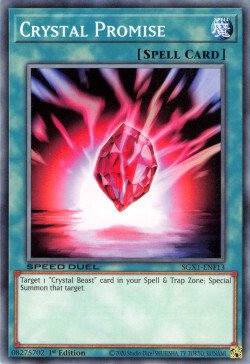 Crystal Promise [SGX1-ENF13] Common | Good Games Adelaide SA