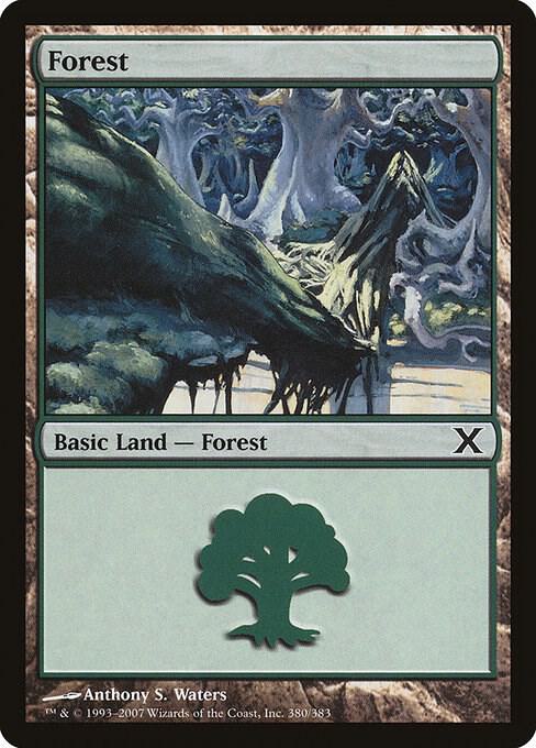 Forest 380 (10th Edition)  | Good Games Adelaide SA