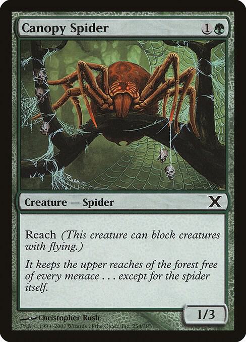 Canopy Spider 254 (10th Edition)  | Good Games Adelaide SA