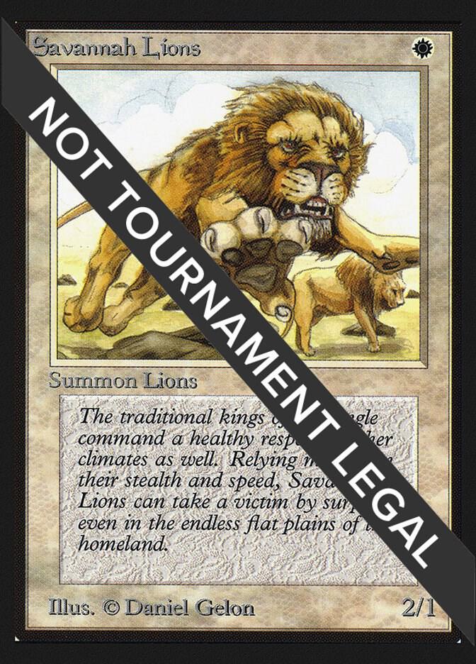 Savannah Lions CE  (Collector's Edition)  | Good Games Adelaide SA
