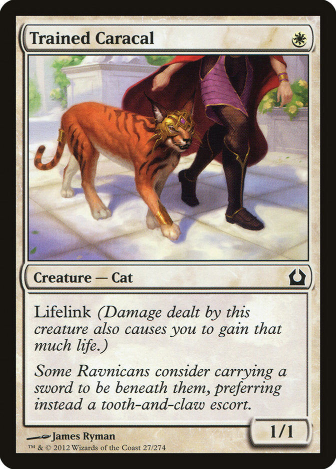 Trained Caracal 27 (Return to Ravnica)  - Foil | Good Games Adelaide SA