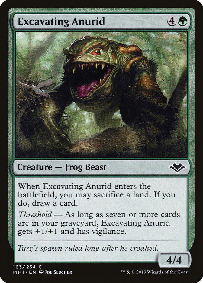 Excavating Anurid 163 (Modern Horizons)  | Good Games Adelaide SA