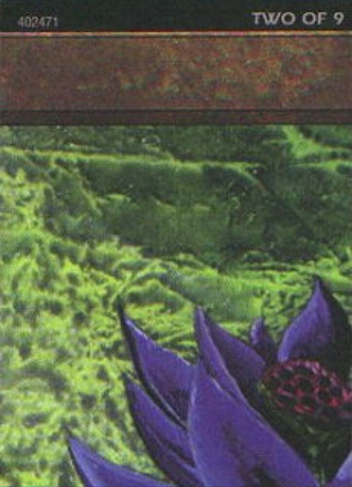 Black Lotus 2 of 9 Ultra Pro Puzzle Quest 1 (Media Promos)  | Good Games Adelaide SA