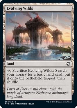 Evolving Wilds 256 (Adventures in the Forgotten Realms)  | Good Games Adelaide SA