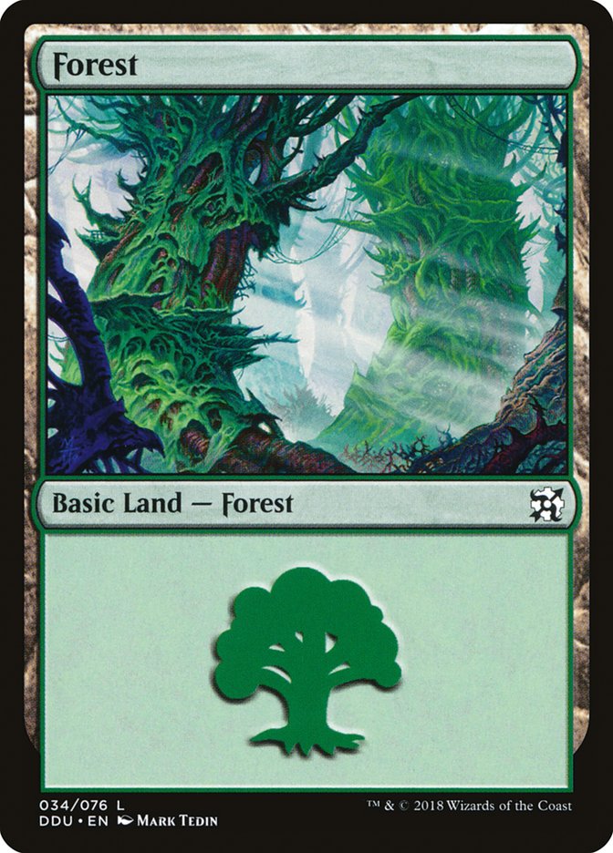Forest (34) [Duel Decks: Elves vs. Inventors] | Good Games Adelaide SA