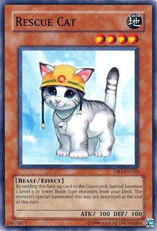 Rescue Cat [DR3-EN153] Common | Good Games Adelaide SA