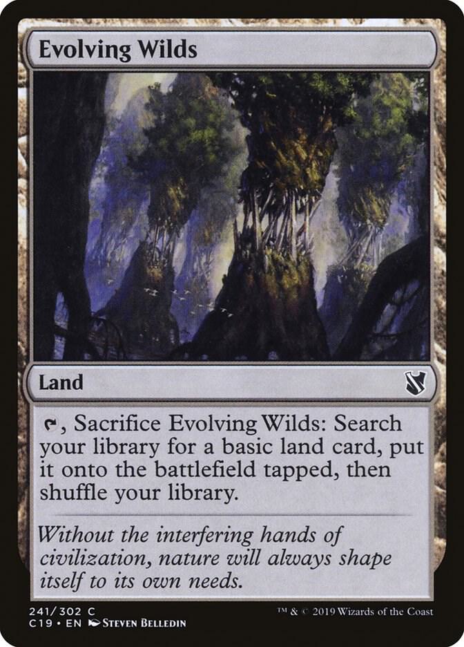 Evolving Wilds 241 (Commander 2019)  | Good Games Adelaide SA