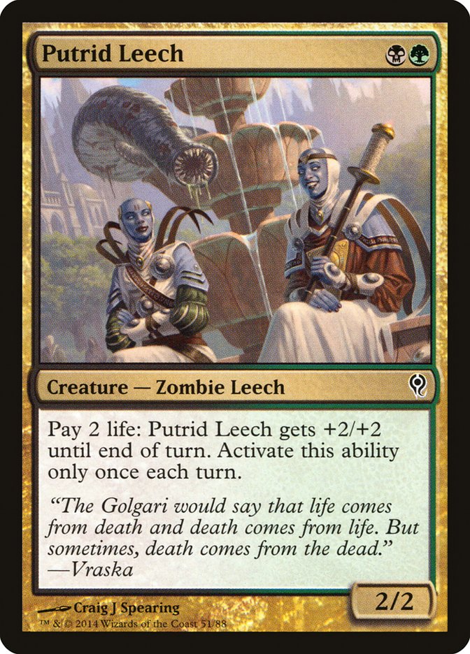 Putrid Leech 51 (Duel Decks: Jace vs. Vraska)  | Good Games Adelaide SA