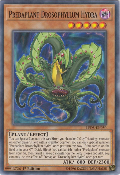 Predaplant Drosophyllum Hydra [LED5-EN050] Common | Good Games Adelaide SA