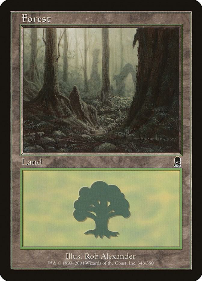 Forest 348 (Odyssey)  - Foil | Good Games Adelaide SA