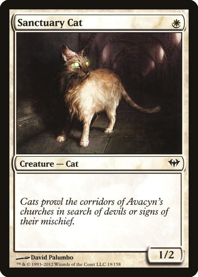 Sanctuary Cat 19 (Dark Ascension)  - Foil | Good Games Adelaide SA