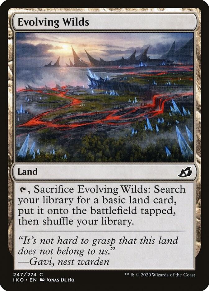 Evolving Wilds 247 (Ikoria: Lair of Behemoths)  - Foil | Good Games Adelaide SA