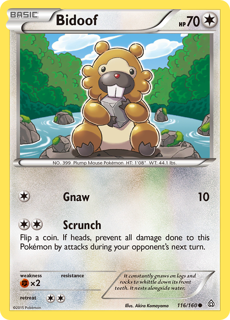 Bidoof (116/160) [XY: Primal Clash] | Good Games Adelaide SA