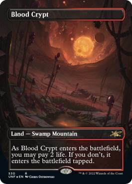 Blood Crypt Borderless Galaxy Foil 530 (Unfinity)  - Foil | Good Games Adelaide SA