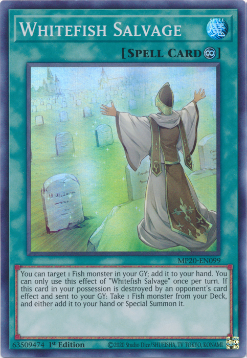 Whitefish Salvage [MP20-EN099] Super Rare | Good Games Adelaide SA