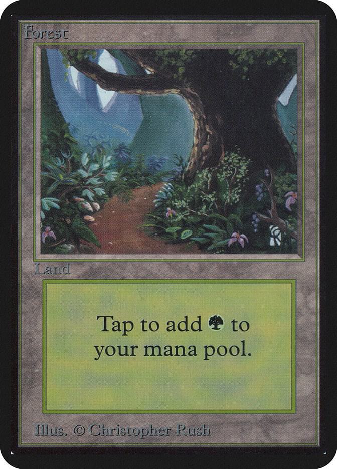 Forest B  (Alpha Edition)  | Good Games Adelaide SA